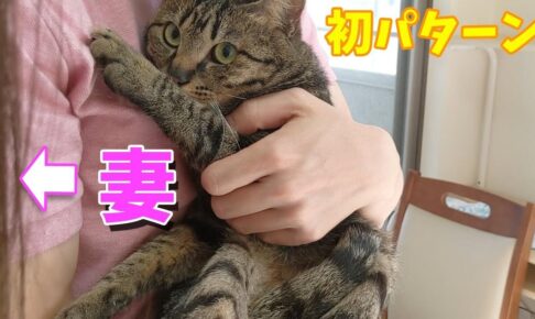 ママよりパパが大好きな猫にママはガッカリ - 肉球ドットコム(299.com)