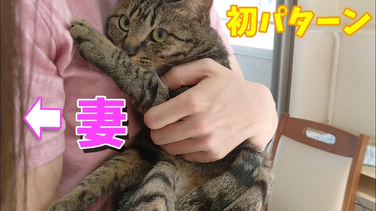 ママよりパパが大好きな猫にママはガッカリ - 肉球ドットコム(299.com)