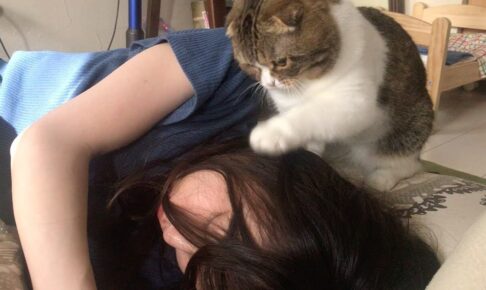 97819遠慮がちに飼い主さんを起こすポコ太郎が可愛い! - 肉球ドットコム(299.com)