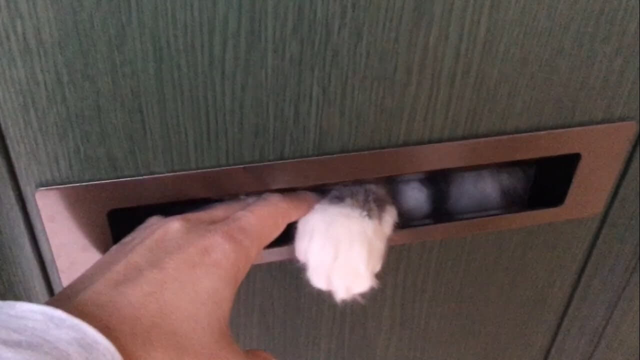 99433 - 肉球ドットコム(299.com)