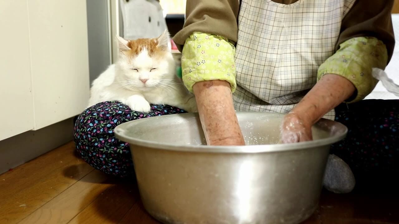 「かご猫 しろ」が芋餅作りに参戦!ほっこりすぎる光景に癒やしが止まらない! - 肉球ドットコム(299.com)