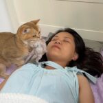 【感動】「守ってあげるニャ」母猫が子猫を連れてくる!飼い主の「寝床のそば」に置く深い愛情に涙腺崩壊! - 肉球ドットコム(299.com)