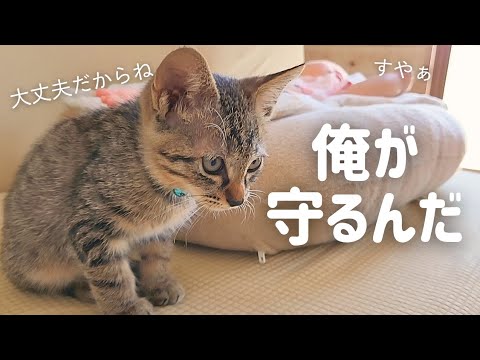 102095 - 肉球ドットコム(299.com)