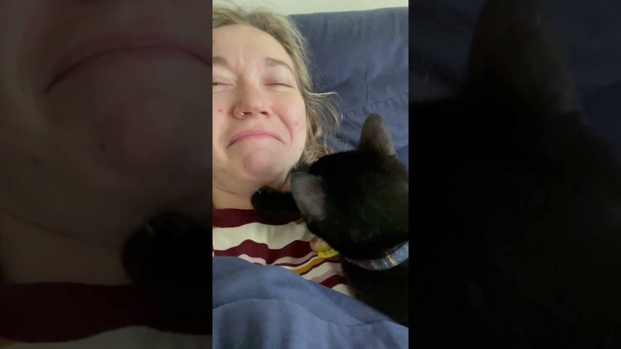 102101 - 肉球ドットコム(299.com)