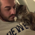 「かまってよ!」57万再生! 読書中の飼い主を襲う「ヤキモチ焼き猫」の可愛すぎる手口! - 肉球ドットコム(299.com)