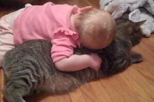 【癒し】「悟りを開いてる…」子供の激しいスキンシップを"無"で受け入れる猫が2500万再生! - 肉球ドットコム(299.com)