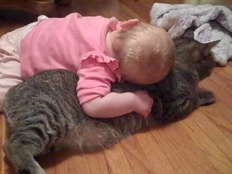 【癒し】「悟りを開いてる…」子供の激しいスキンシップを"無"で受け入れる猫が2500万再生! - 肉球ドットコム(299.com)