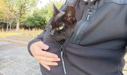 【愛猫カンガルー】「ここが一番安心!」飼い主の服の懐に潜り込む黒猫の甘えん坊ぶりが話題 - 肉球ドットコム(299.com)