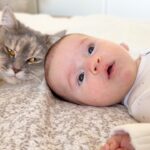【天使の触れ合い】そっと優しく…生まれたばかりの赤ちゃんを見守る猫の姿に感動 - 肉球ドットコム(299.com)