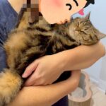 パパのキスに「やめて!」不満顔を隠せない猫の抗議が可愛すぎると話題に - 肉球ドットコム(299.com)