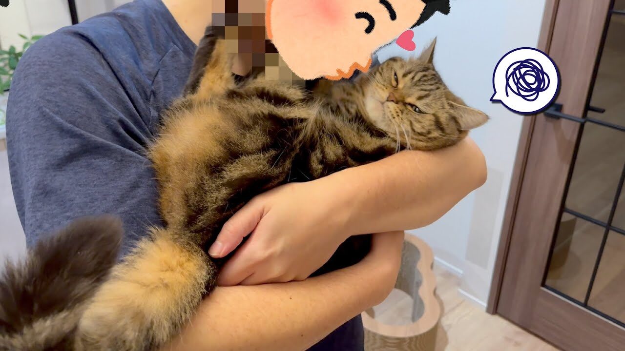 パパのキスに「やめて!」不満顔を隠せない猫の抗議が可愛すぎると話題に - 肉球ドットコム(299.com)