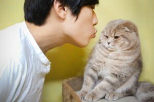 猫の反応がシビアすぎる!飼い主のキス攻撃に「やめてくれ」と真顔で抵抗する猫たち - 肉球ドットコム(299.com)