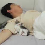 【衝撃】「寝てる間に何してたの!?」飼い主が眠りについた後、子猫たちが繰り広げる『深夜の秘密会議』が自由すぎて爆笑! - 肉球ドットコム(299.com)