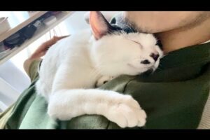 【感涙】「もう離さないニャ!」1週間ぶりに再会した愛猫の『重すぎる愛』が可愛すぎて悶絶必至! - 肉球ドットコム(299.com)