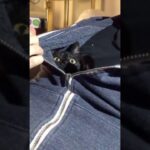 【悶絶】「まだ寝るニャ……」パーカーの中に引きこもる猫ちゃん。飼い主さんがジッパーを開けると……?“可愛すぎる拒否”に世界がメロメロ! - 肉球ドットコム(299.com)