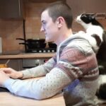 【悶絶】「ねえ、僕を見てニャ!」構ってほしくてたまらない猫のプーシクくん。パパへの猛烈な“遊んでアピール”にメロメロ! - 肉球ドットコム(299.com)