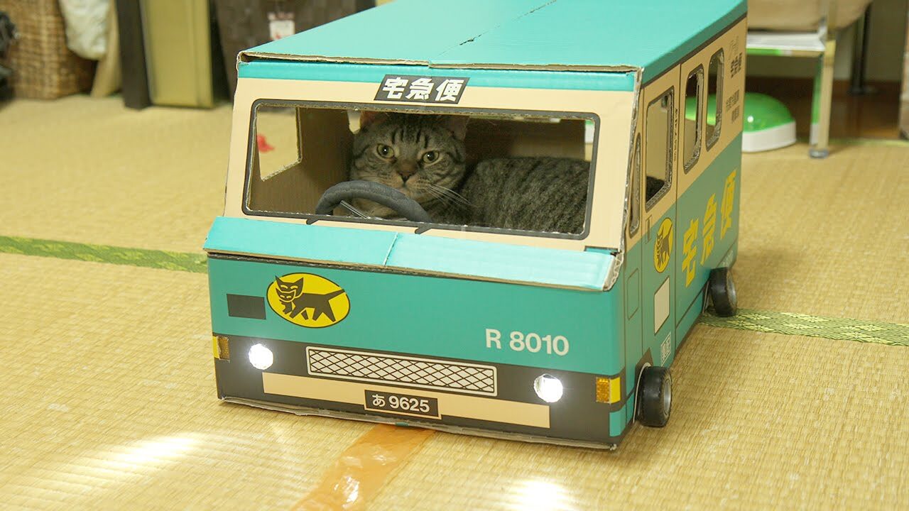 【悶絶】「ボクが荷物をお届けするニャ!」クロネコヤマトの“猫専用トラック”で颯爽と走るマンチカンの力丸くんが可愛すぎて天使! - 肉球ドットコム(299.com)