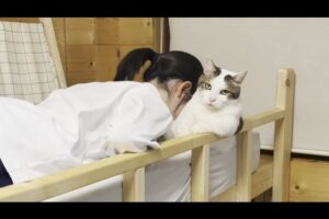 ピアノの練習に疲れちゃった……。そんな娘さんを「生きたクッション」になって癒やす猫さまが尊すぎる! - 肉球ドットコム(299.com)