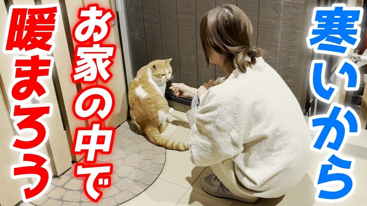 【悶絶】「早く入れてニャ!」寒空の下、玄関前で待ち構える庭子猫。お家に入った瞬間の“至福の表情”に心温まる♡ - 肉球ドットコム(299.com)
