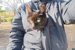 【悶絶】「寒いから入れてニャ!」飼い主さんの服に潜り込んで“カンガルー”になっちゃった黒猫さま。究極の密着ぶりに癒やしが止まらない♡ - 肉球ドットコム(299.com)